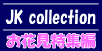 JK collection 【お花見特集編】